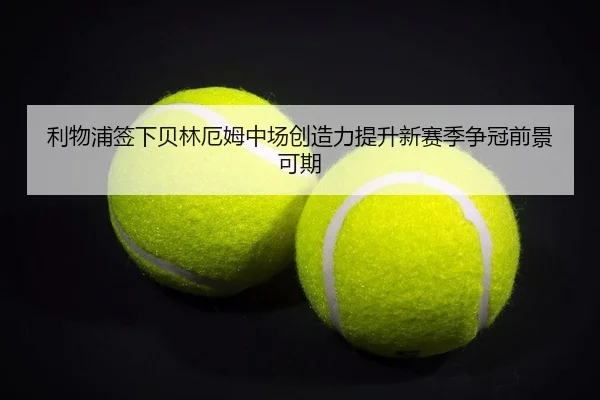li-wu-pu-qian-xia-bei-lin-e-mu-zhong-chang-chuang-zao-li-ti-sheng-xin-sai-ji-zheng-guan-qian-jing-ke-qi-2-981.jpg
